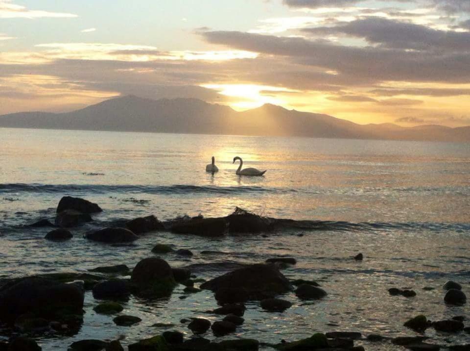 Tarbert Appartement West Kilbride Buitenkant foto
